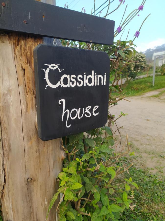 Cassidini House Lägenhet Monteverde Exteriör bild
